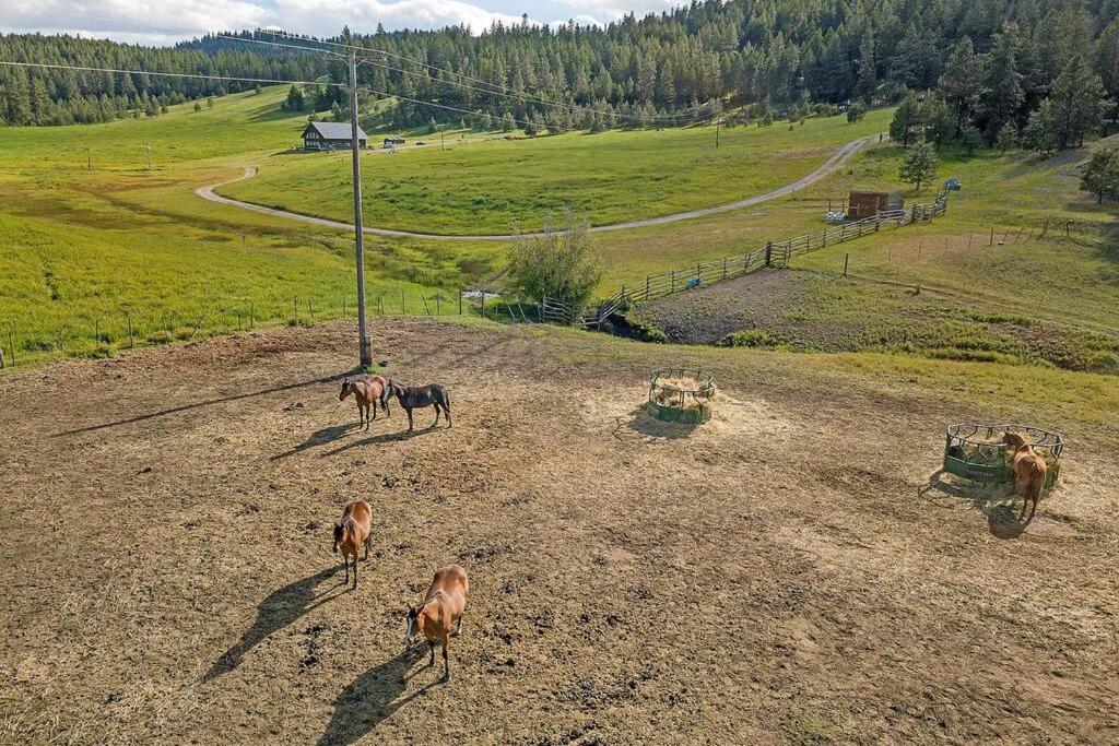 Wilderness Cabin - Eden Valley Oroville Exterior photo